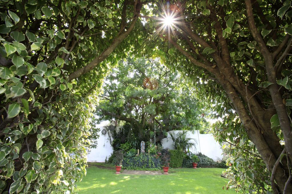 Villa Bejar Cuernavaca Kültér fotó